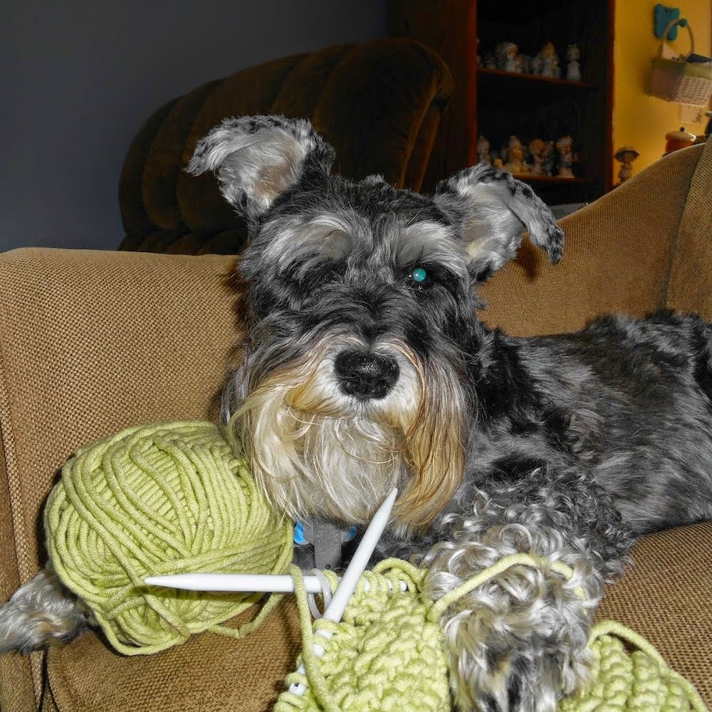 Meet your Posher, Knitter